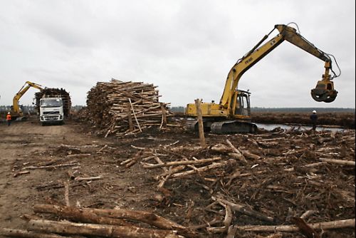 wood pulp List of Companies Using Wood Pulp in Their Food Products 